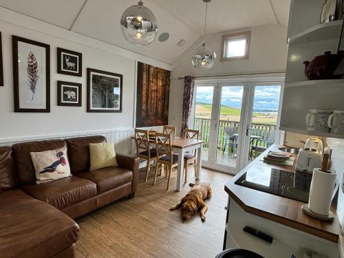 a living room with a couch and a dog laying on the floor at Hare Lodge with Hot Tub in Cupar