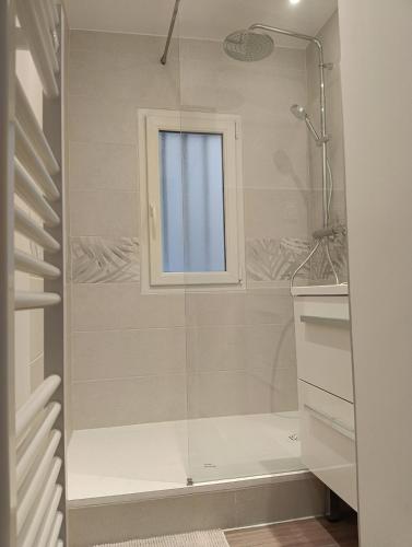 a shower with a glass door in a bathroom at Centre Chambéry - Parking gratuit - tout inclus in Chambéry