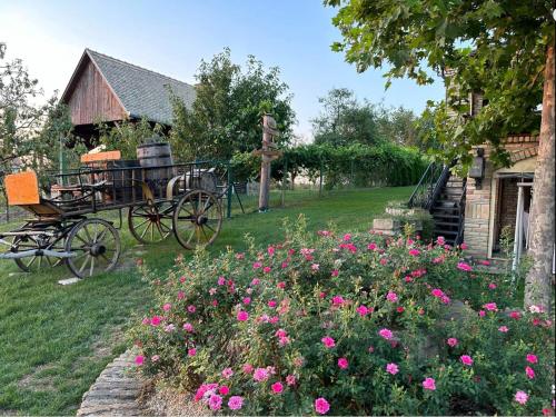 Zahrada ubytování Višnjin Cvet