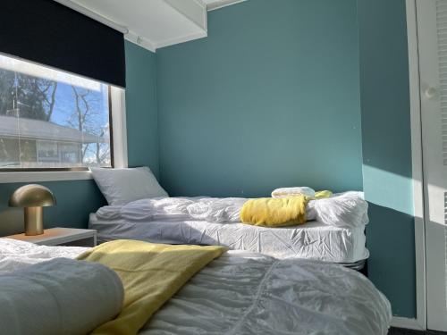 two beds in a room with blue walls at The Sweet Pea- Room 4 in Hamilton