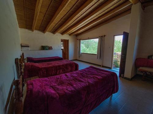 een kamer met twee bedden met paarse lakens erin bij Escalera de piedra 2 in Tilcara