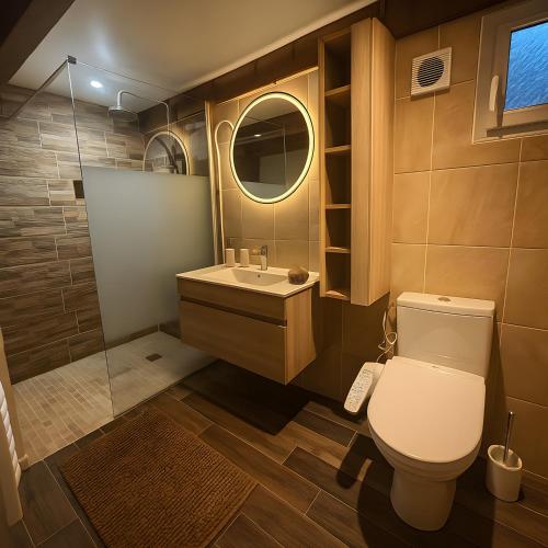 a bathroom with a toilet and a sink and a mirror at Evergreen -Ocean and Spa- in Parentis-en-Born