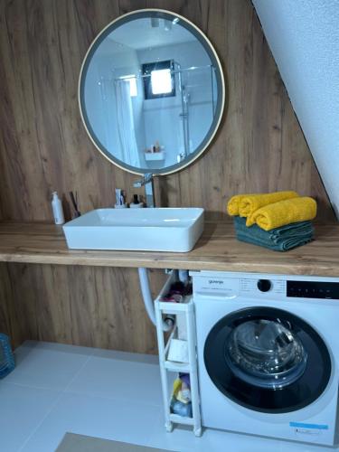 a bathroom with a washing machine and a mirror at A Frame house Slavuljica in Vlasic