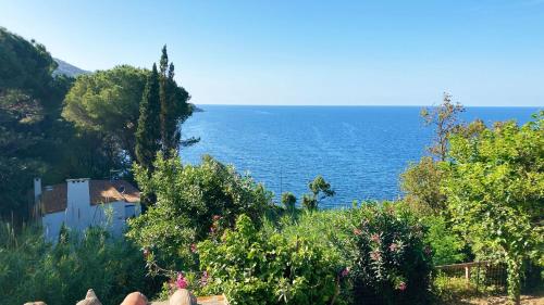 Naturlandskabet i nærheden af feriehuset