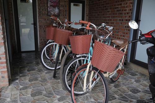 Ποδηλασία στο Viên Nam Xanh Homestay ή στη γύρω περιοχή