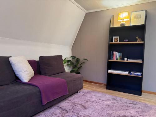 een woonkamer met een bank en een boekenplank bij Bijou Mosen in Hitzkirch