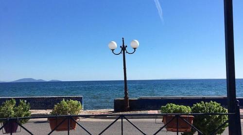 Příroda nedaleko kempu