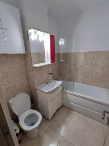 un bagno con wc, lavandino e doccia di Ely Renting a Văleni