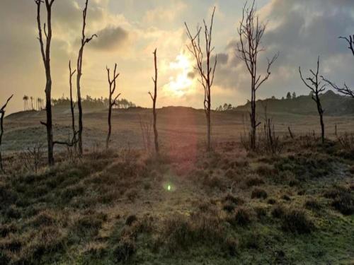 Phong cảnh thiên nhiên gần căn hộ