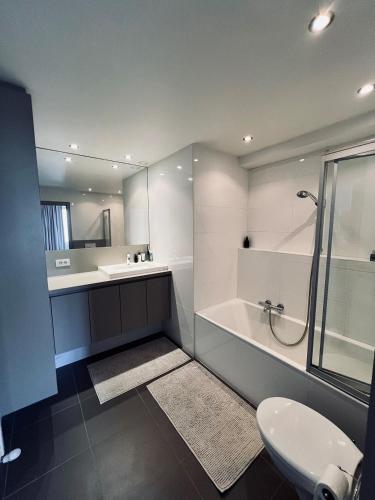 a bathroom with a shower and a sink and a toilet at Oostduinkerke Apartments in Oostduinkerke