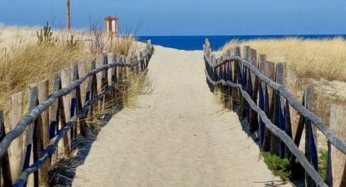 Příroda nedaleko prázdninového domu