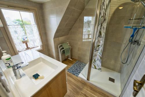 a bathroom with a sink and a shower at TY Lavarion in Le Bono