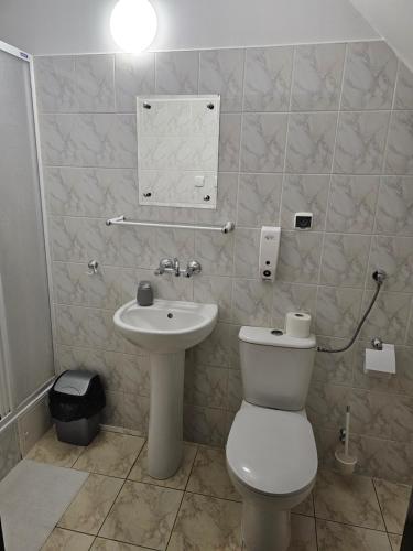 un bagno con un water e un lavandino di Pokoje w ,,Stajni ,, a Niemce