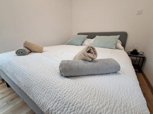 En eller flere senge i et værelse på Tajný house