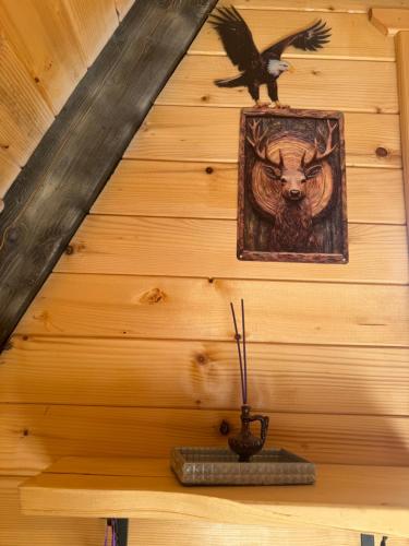 Ảnh trong thư viện ảnh của Tara lux ở Mojkovac