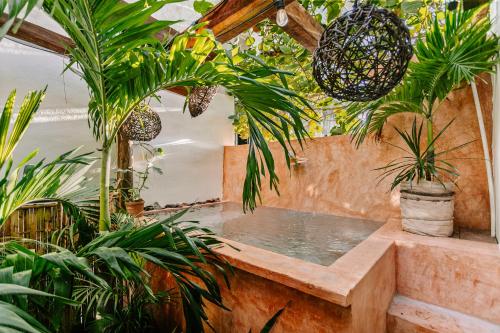 een hot tub in een kamer met planten bij Casa Rocka Boutique Breakfast & Beach Club included in Isla Mujeres