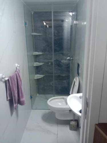a bathroom with a shower and a toilet and a sink at Front beach cosy apartment in La Goulette