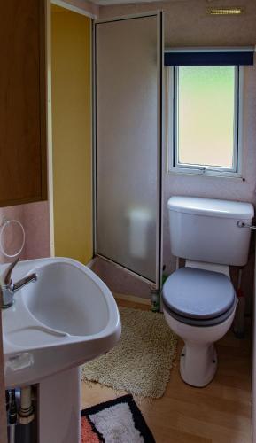 a bathroom with a toilet and a sink and a shower at La Belle Vue in Durmignat