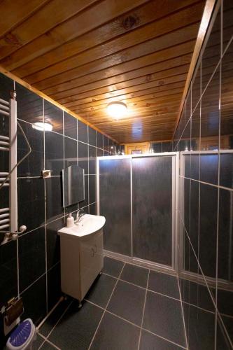 a bathroom with a shower and a sink in it at OBA KÜTÜK EVLERi in Seben