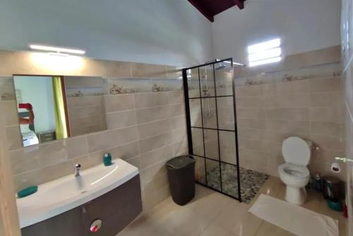 een badkamer met een wastafel, een toilet en een spiegel bij Studio moderne près de Capesterre-Belle-Eau avec piscine in Sainte-Marie des Bois