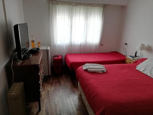 内科切阿Necochea Real Hotel的一间有两张床和一台电视的酒店房间