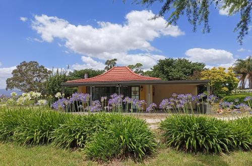 a house with purple flowers in front of it at Grandvista Cottage in Yering