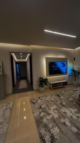 Et tv og/eller underholdning på الشيخ زايد شارع عمار ابن ياسر