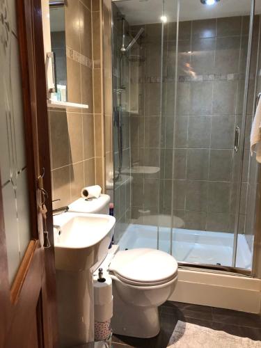 a bathroom with a toilet and a sink and a shower at The Annexe at the Cedars in South Brent