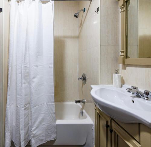 un bagno con tenda da doccia e lavandino di Budget Comfortable Apartments a New York