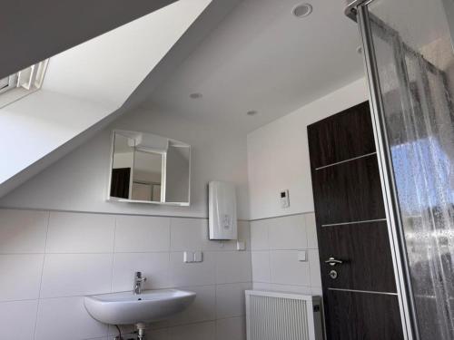 un bagno con lavandino e doccia di NEU! Ferienwohnung Elsteraue DG oben a Meuselwitz