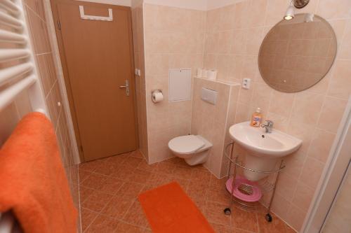 a bathroom with a toilet and a sink and a mirror at Apartment Spindleruv Mlyn Labska in Špindlerův Mlýn