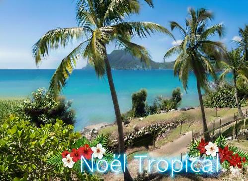 Ma Place au Soleil-en duo-Spot Panoramique-Piscine et calme