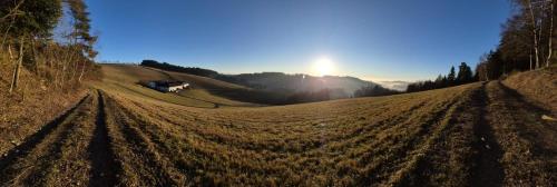 an empty field with the sun in the background at Wohnung im Herzen Mühlviertels in Bad Zell