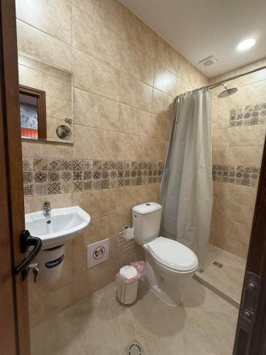 a bathroom with a toilet and a sink at Квартири ЦЕНТРАЛ in Dolna Mitropoliya