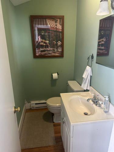 a bathroom with a white sink and a toilet at Charming Four Bedroom House in Tannersville