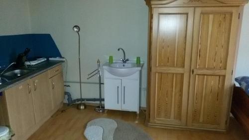 eine kleine Küche mit einem Waschbecken und einem Waschbecken in der Unterkunft Ferienwohnung Bernhardt in Sarstedt