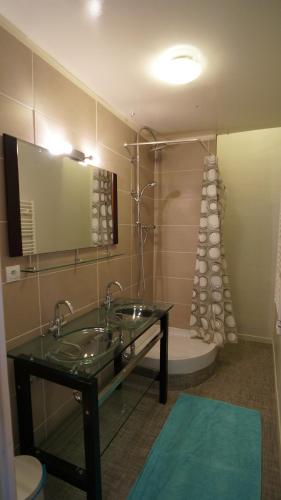 La salle de bains est pourvue d'un lavabo en verre et d'une douche. dans l'établissement Le Vinéa, à Beaune