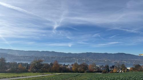 Apartment in Zurich on Golden Kuste