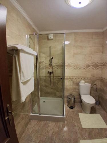 a bathroom with a shower and a toilet at Restaurant Casa Barsan in Bîrsana