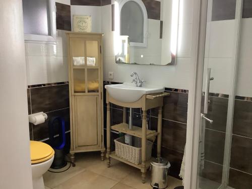 un bagno con lavandino, WC e specchio di Location Studio de charme a Antibes