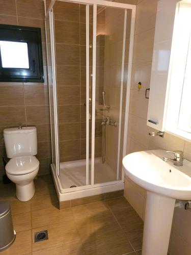 a bathroom with a shower and a toilet and a sink at Despina's house in Ioannina