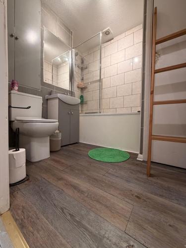 a bathroom with a toilet and a green rug at HRF Hackney Apartments in London