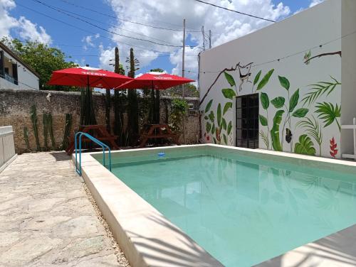 Bazén v ubytování Aldea Celestún nebo v jeho okolí