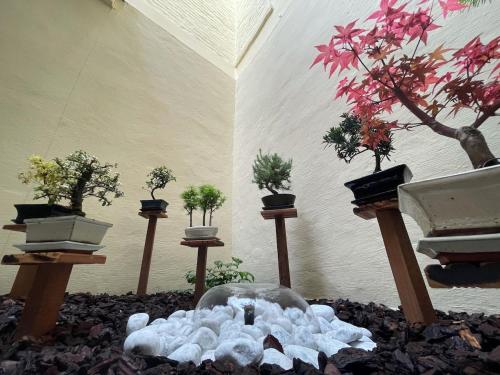 En have udenfor Luxe Suite Brugge Centrum met Parking en Zen Terras