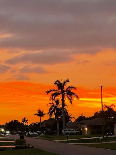 a sunset with palm trees in a parking lot at Basillican in Cape Coral