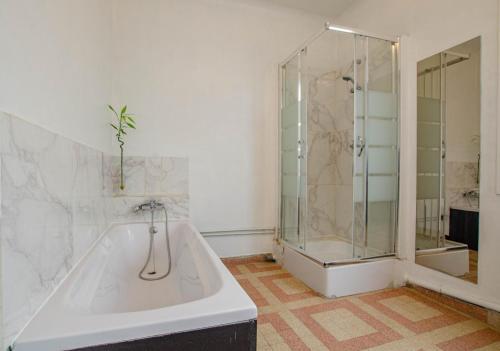 ein Badezimmer mit Dusche und weißer Badewanne in der Unterkunft Le chaource in Chaource