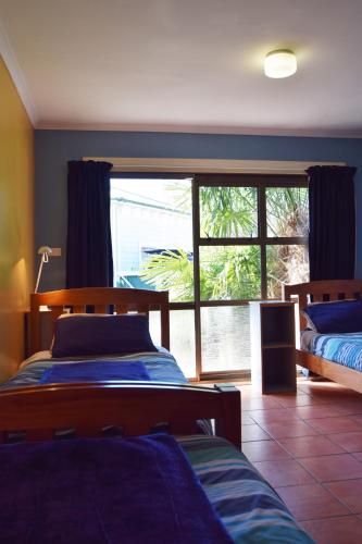 Imagen de la galería de The Bug Backpackers, en Nelson