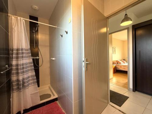 un bagno con doccia con porta in vetro di L'oree du bois a Livron