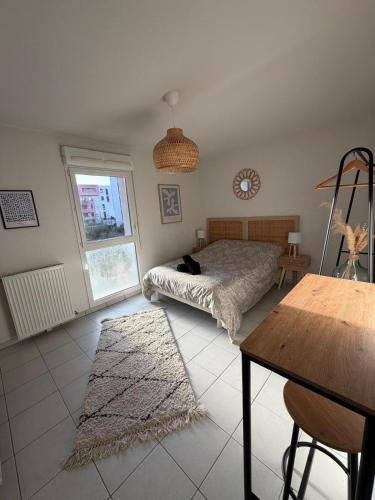 a bedroom with a bed with a cat laying on it at L'escale du minotaure in Toulouse