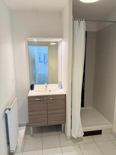 a bathroom with a sink and a mirror and a shower at L'escale du minotaure in Toulouse